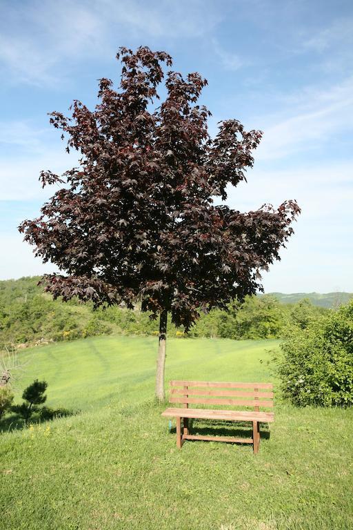 Agriturismo Caiburroni Pietralunga  Zewnętrze zdjęcie